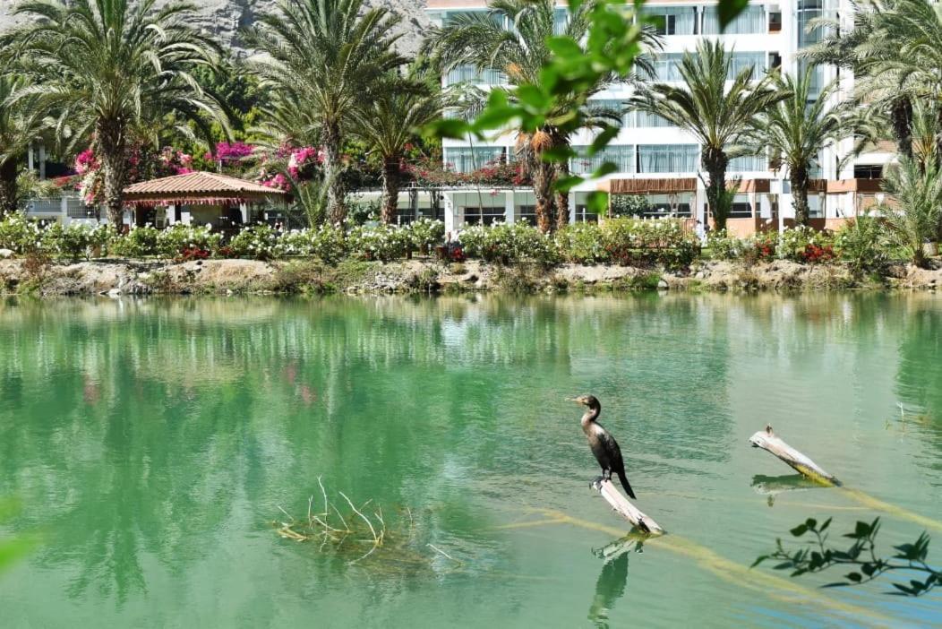 Lunahuaná Guizado Portillo Hacienda & Resort מראה חיצוני תמונה