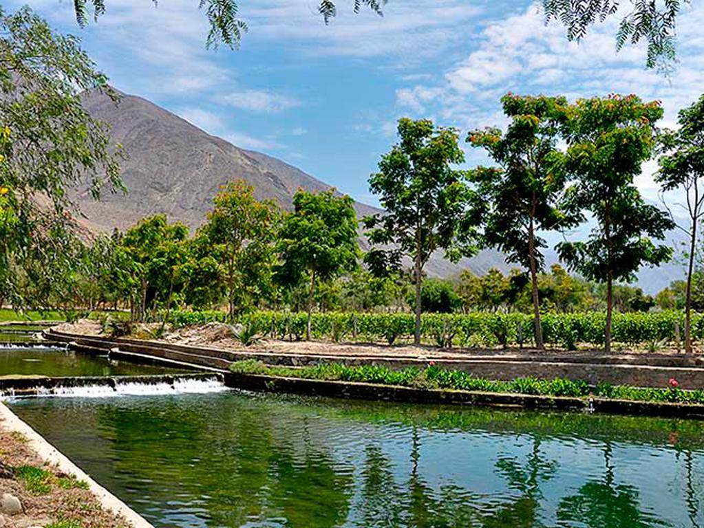 Lunahuaná Guizado Portillo Hacienda & Resort מראה חיצוני תמונה