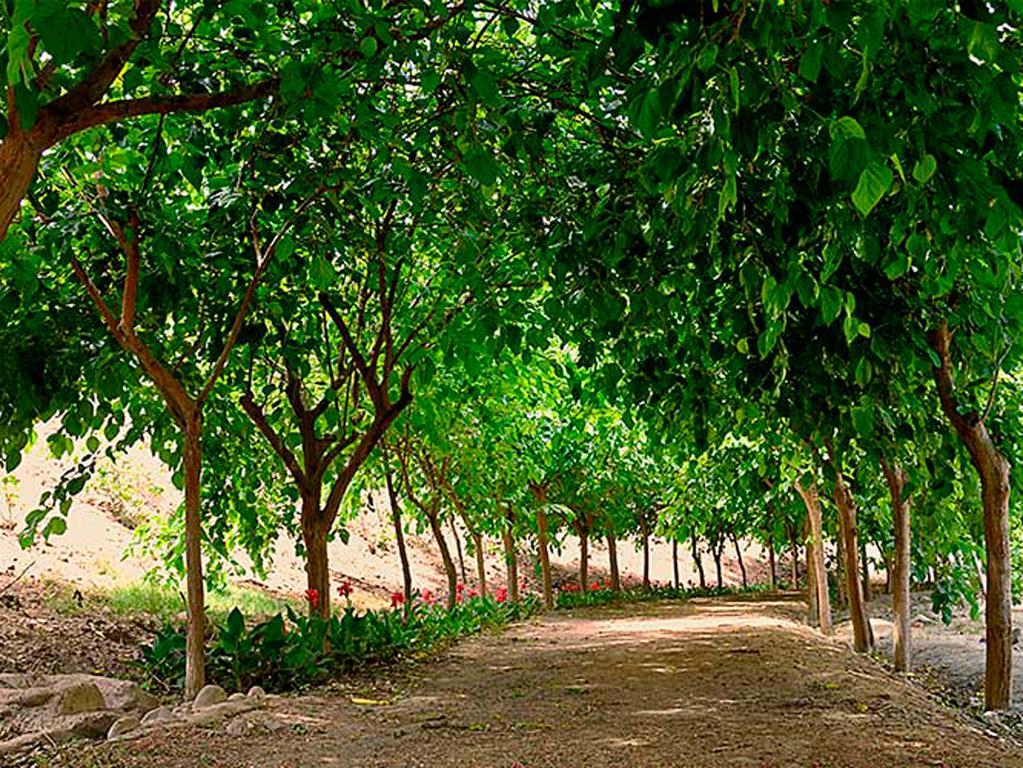 Lunahuaná Guizado Portillo Hacienda & Resort מראה חיצוני תמונה