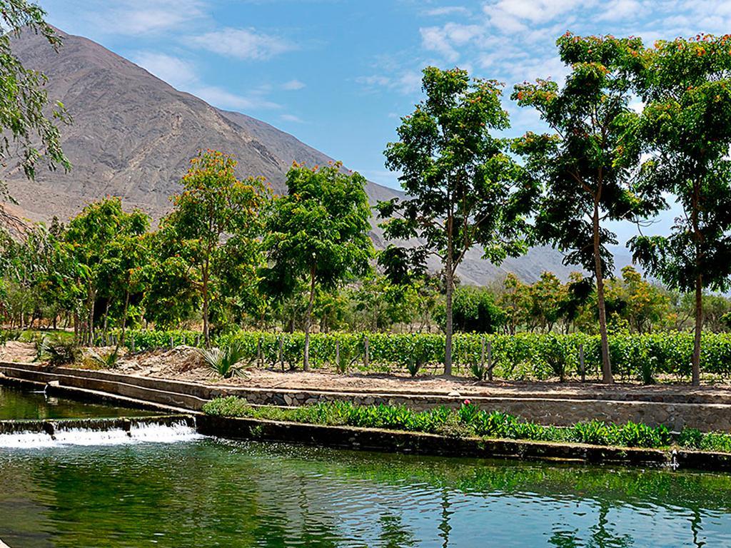 Lunahuaná Guizado Portillo Hacienda & Resort מראה חיצוני תמונה