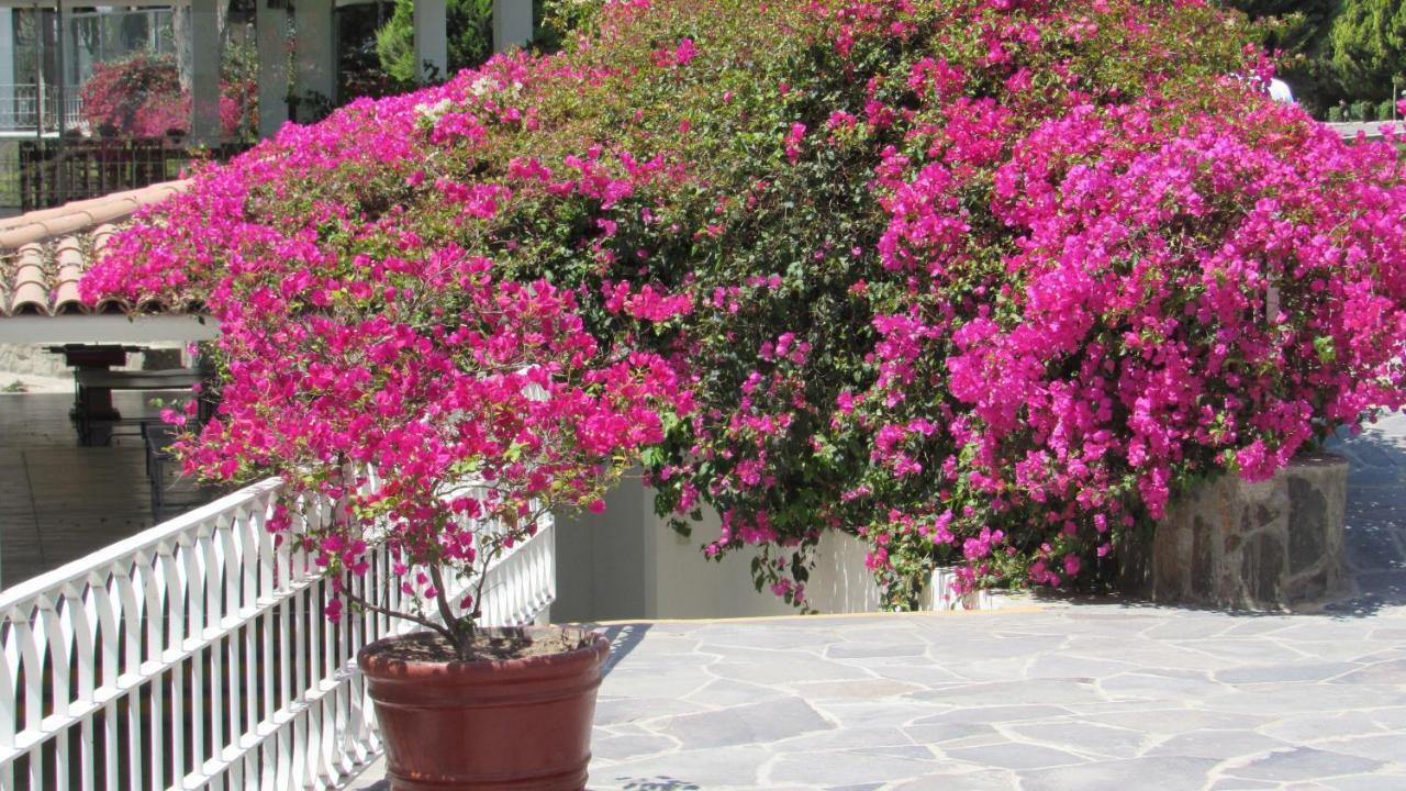 Lunahuaná Guizado Portillo Hacienda & Resort מראה חיצוני תמונה